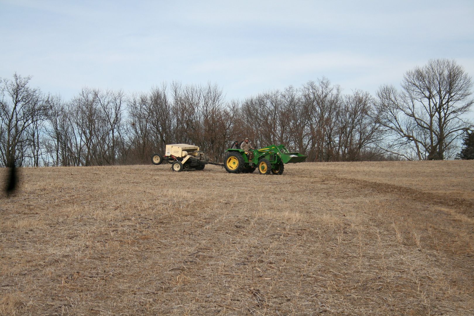 A little more about switchgrass Page 15 Michigan Sportsman Forum